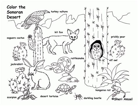 Desert Animals Coloring Pages - Coloring Home