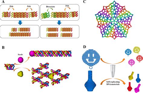 Structural Dna Nanotechnology State Of The Art And Future Perspective