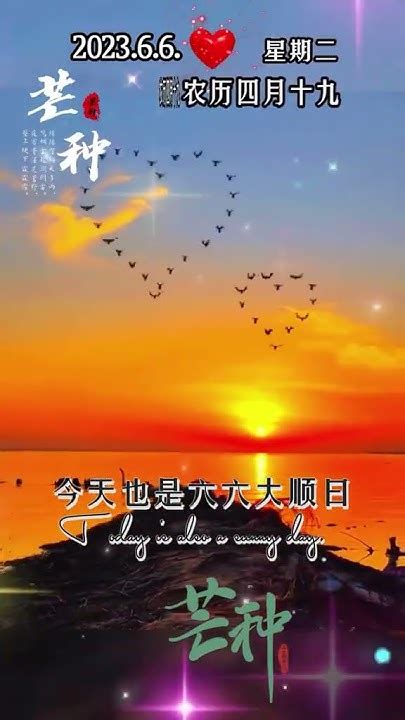 今天是6月6日星期二，農曆四月十九，早上好呀，今天也是六六大順日，也是二十四節氣芒種 早安問候 祝福 二十四節氣 芒種 分享視頻🥰🥰🍫🍫💖💖🍎🍎🌹🌹 Youtube