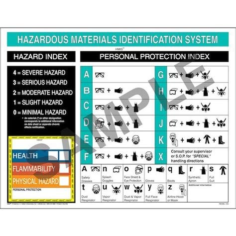 Hmis® Iii Wall Poster