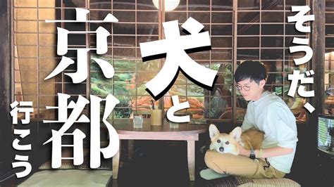 犬と一緒に京都嵐山に行ってきた【犬と日帰り京都②】 Youtube