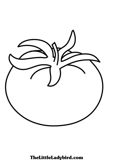 Tomato Plant Coloring Page Pages Of Tomatoes Sketch Coloring Page 5070 Hot Sex Picture