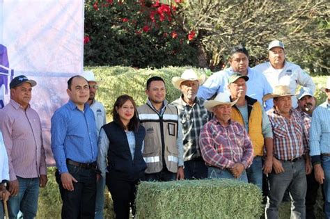 FRANCO CORONADO GUERRA ENTREGA SEGUNDA ETAPA DE FORRAJE A PRODUCTORES