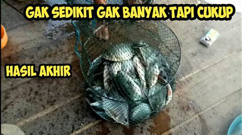 Mancing Nila Liar Cukup Buat Makan Seminggu Youtube