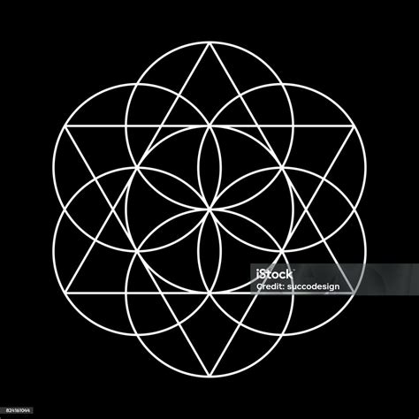 Flower Of Life Sacred Geometry Stock Illustration Download Image Now Sacred Geometry Seed