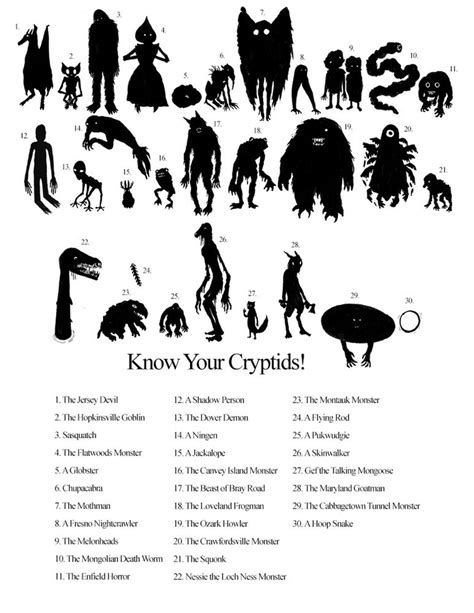 Image Of PRE ORDER Know Your Cryptids Identification Chart