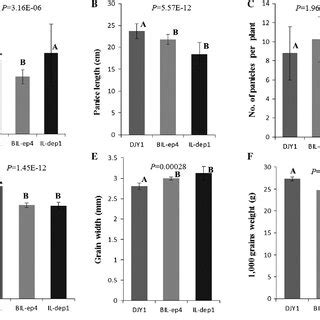 Comparison of panicle architecture. a The number of spikelets per... | Download Scientific Diagram