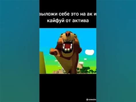 лев обижал всю планету чтобы лизнуть жопу #shorts - YouTube
