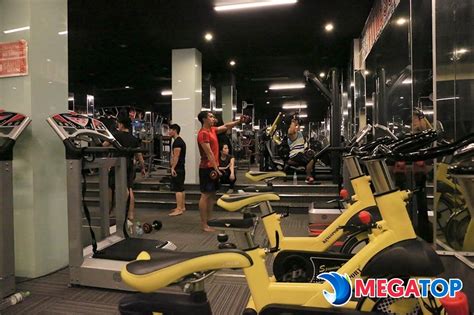 Top 15 Phòng Tập Gym ở Quận Bình Thạnh “phòng đẹp Giá Rẻ” Megatop Kênh đánh Giá Các Sản