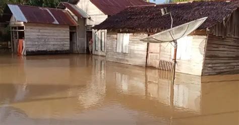 Tiga Sungai Di Nagan Raya Meluap Desa Terendam Banjir