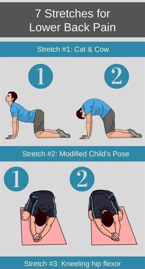 7 stretching exercises to relieve back pain today – Artofit