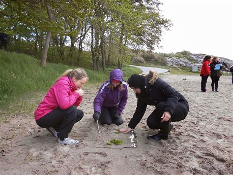 Naturvetenskap och teknik i förskolan 2015 Vid Gullmarens strand