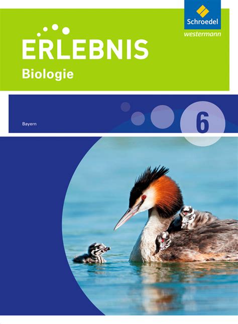 Erlebnis Biologie Ausgabe F R Realschulen In Bayern Schulbuch