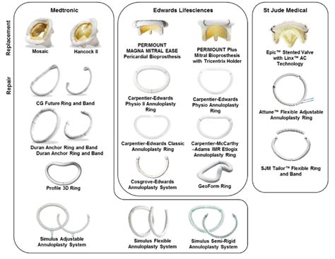 Commercially Available Bioprosthetic Mitral Valves And Annular Rings