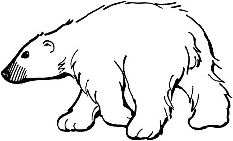 Polar Bear Clip Art Pictures Clipartix