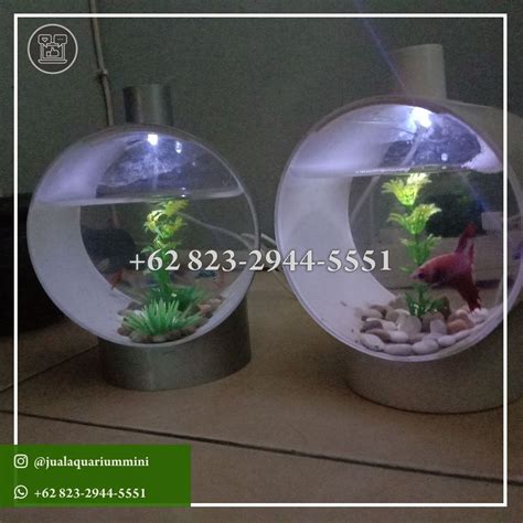 Info Terbaru Mengenai Harga Aquarium Ikan Cupang Di Shopee Format Png