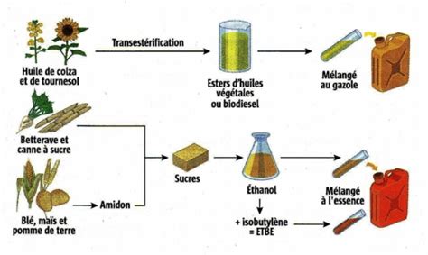 Les Biocarburants