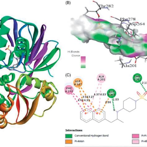 The Flowchart Showing The Ligand Based Virtual Screening Of Compounds