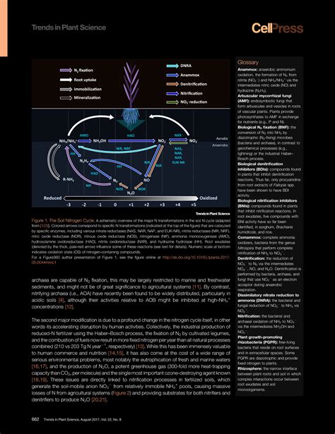 Solution Plant Root Exudates Shape The Nitrogen Cycle Tips Studypool