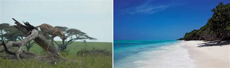 Tanzania Zanzibar Safari – 13 days safari l African Queen Adventures