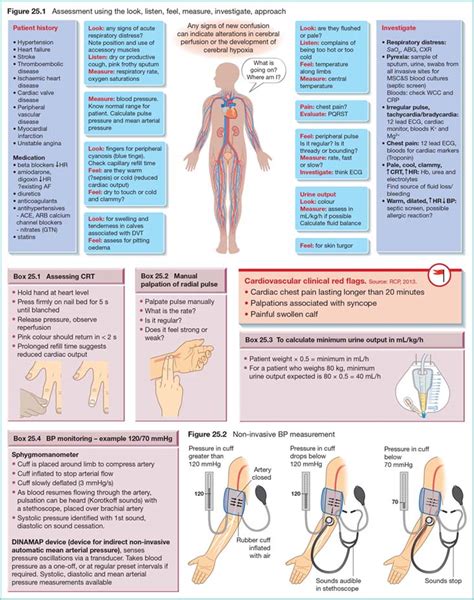 Nursing Assessment