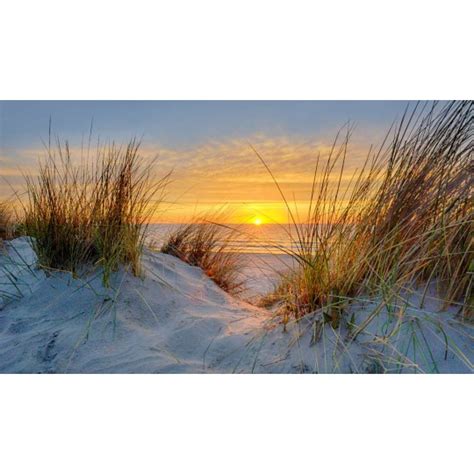 Sfeer Fotobehang Of Fotowand Zonsondergang In De Duinen Van Ameland