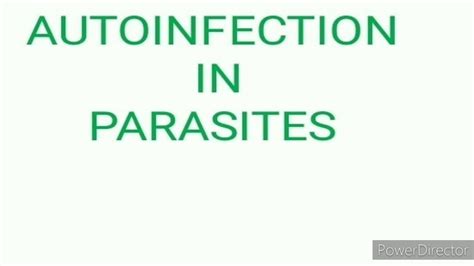 Autoinfection in parasites - YouTube