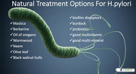 H.pylori and Low Stomach Acid- Causes, Treatment and How To Prevent Re-infection | Dr. Hagmeyer