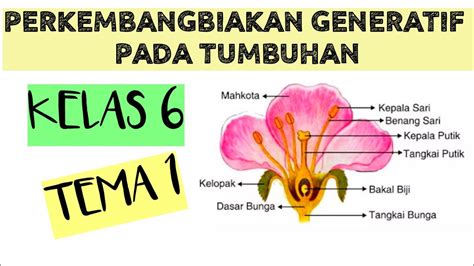 Soal Ipa Kelas 6 Materi Perkembangbiakan Tumbuhan Materi Soal Riset