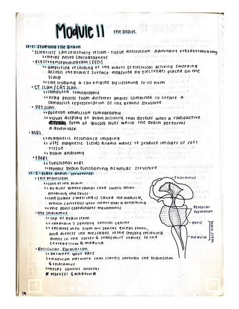 Ap Psychology Module The Brain Module The Brain Studying The