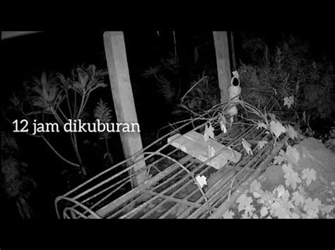 Eksperimen Cctv Di Kuburan Terlihat Sosok Putih Mirip Asap Terekam