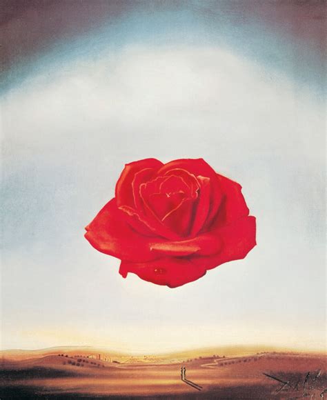 The Meditative Rose Art Print By Salvador Dali King McGaw