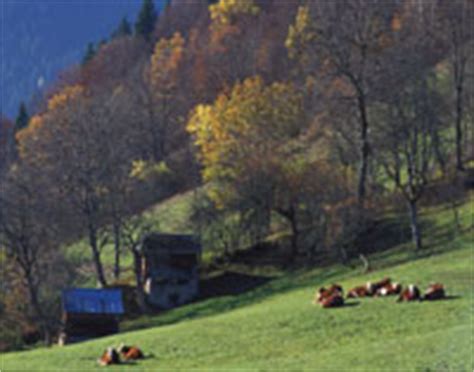 Les Prairies Temporaires De Montagne Et Le Choix Des Esp Ces Fourrag Res