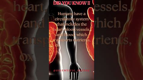 Fascinating Scientific Facts About Humans #didyouknow #human #human ...