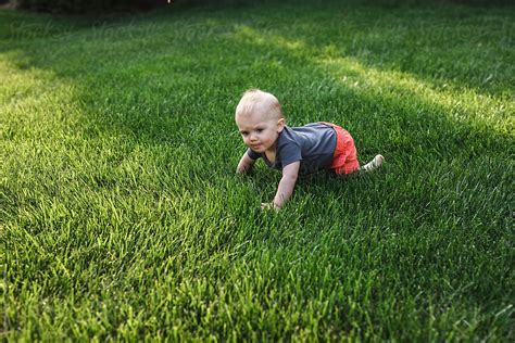 Baby Crawling In The Grass Del Colaborador De Stocksy Kelly Knox