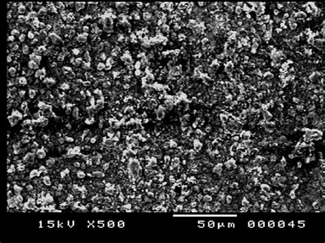 Sem Micrograph Showing The Martensite Austenite Microstructure In The