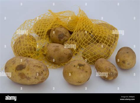 Net With Potatoes Solanum Tuberosum Stock Photo Alamy