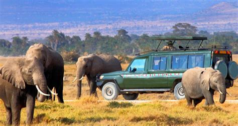 Day Mid Range Jambo Masai Mara Safari With X Land Cruiser Jeep By