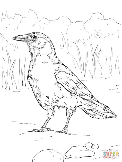 Crow Coloring Pages - Kidsuki