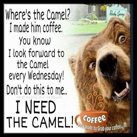 Wednesday top coffee meme | Wednesday coffee, Funny coffee quotes ...