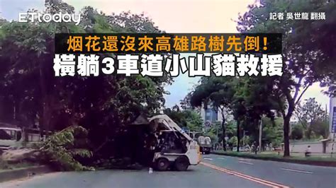 烟花還沒來高雄路樹先倒！ 橫躺3車道小山貓救援 Youtube