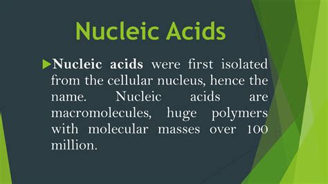 Solution Nucleic Acids Biochemistry Studypool