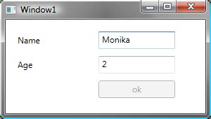 Monika Dyrda Wpf Textbox Validation