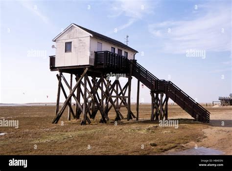 Stilt House On The Beach Of St Peter Ording Hi Res Stock Photography