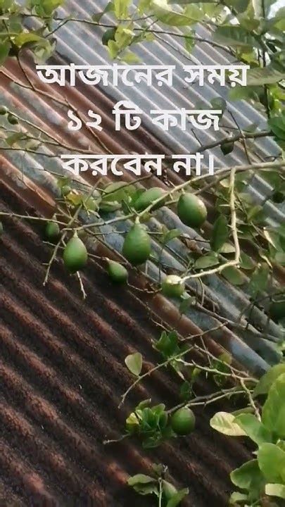 আজানের সময় ১২ টি কাজ করবেন না। Youtube