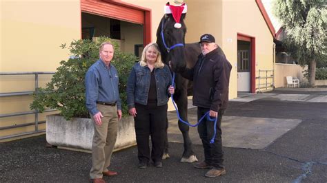 Happy Holidays From The Uc Davis School Of Veterinary Medicine Youtube