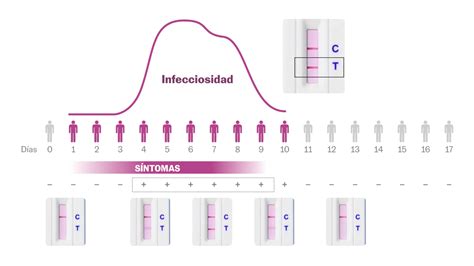 Pruebas De Antígenos Con ómicron Cuándo Son Más Fiables Cómo