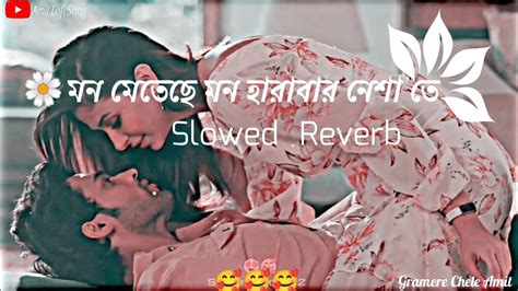 মন মেতেছে মন হারাবার নেশা তেbangali Romantic Song Lofi Slowed