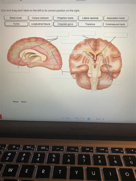 Anatomy And Physiology Archive January 14 2018 Chegg