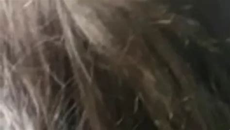 Free Balkan Porn Videos XHamster